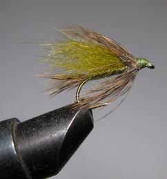 ���� ������ Wet fly 
